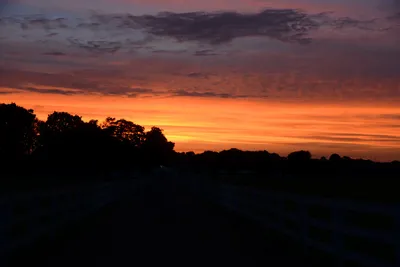 DSC_2187 (Large).JPG